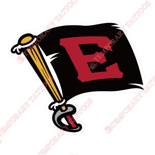 Erie SeaWolves Customize Temporary Tattoos Stickers NO.7834